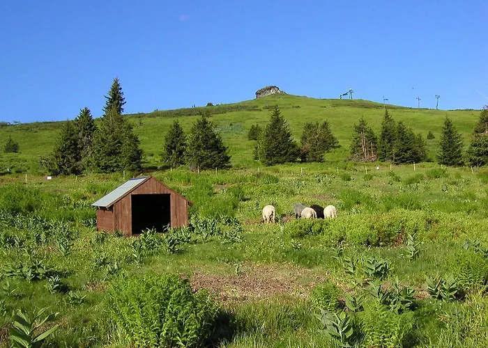 Ovcarna Pod Pradedem Hotel Karlova Studánka